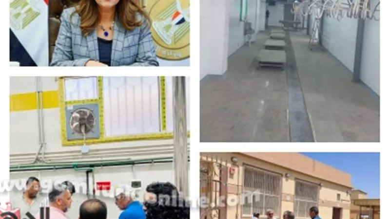 التنمية المحلية : تشغيل المجازر الحكومية الجديدة في عيد الأضحي
