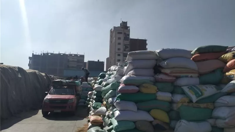 توريد 71100.725طن حتى الآن بالصوامع بمركز ومدينة دسوق