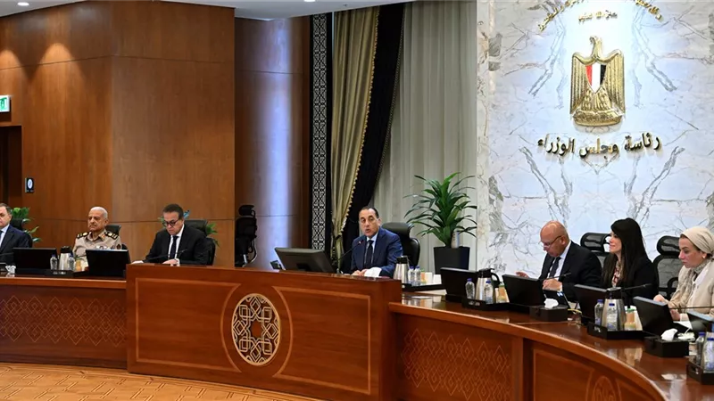 مدبولي: التعاون مع الشركاء للاستفادة من الفرص الواعدة بقطاع الطاقة