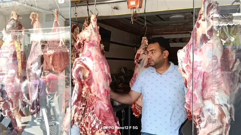 ضبط لحوم وأسماك واسمده زراعيه فاسده فى مراكز كفر الشيخ