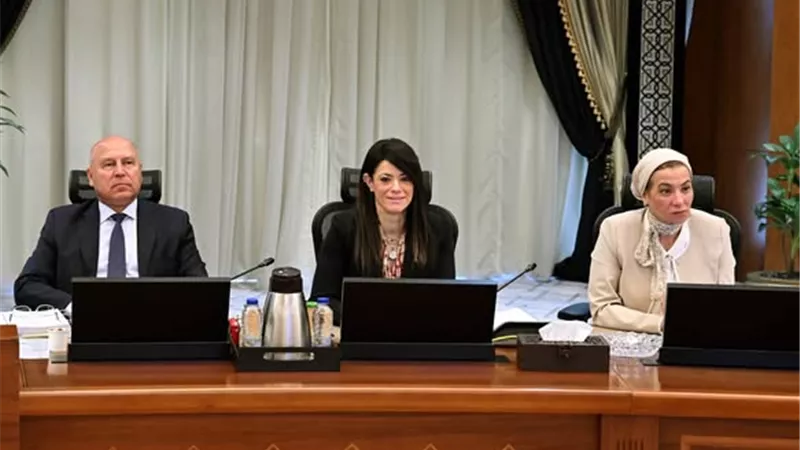 المشاط تستعرض الموقف التنفيذي للبرنامج الوطني للإصلاحات الهيكلية