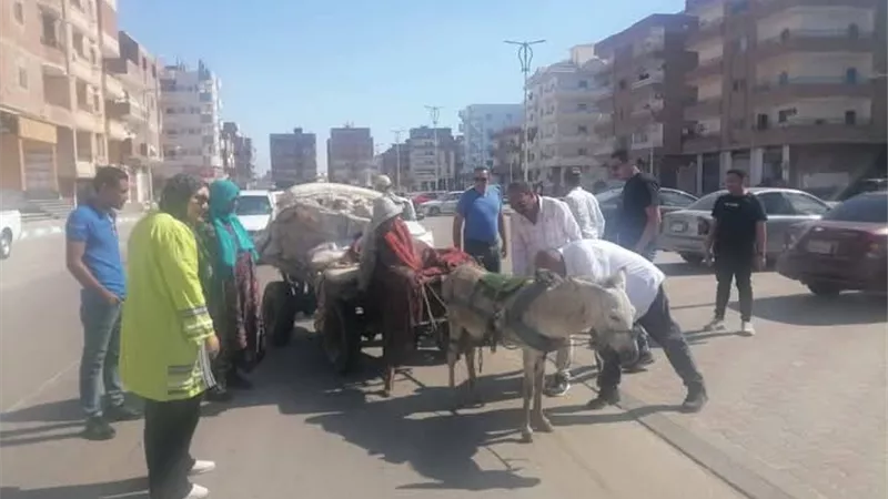 حملات لملاحقة النباشين بحي عتاقة بالسويس للارتقاء بمستوى النظافة