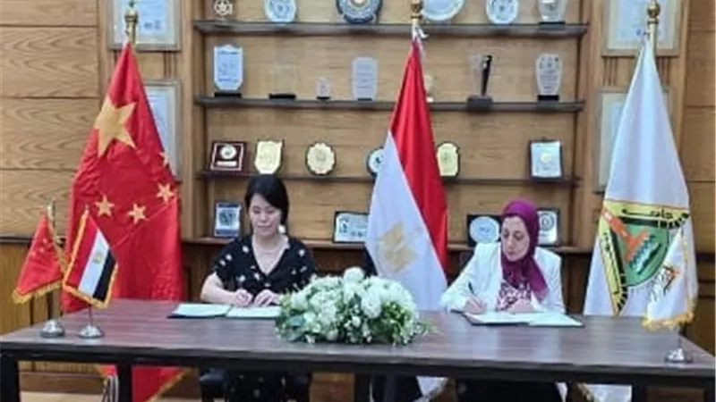 تعاون بين جامعة بنها والمركز الصيني لتبادل اللغة بالصين