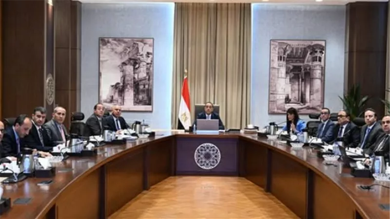مدبولي: تشكيل خلية استثنائية خلال الإجازات لمنع أى تعدى على الأرض الزراعية