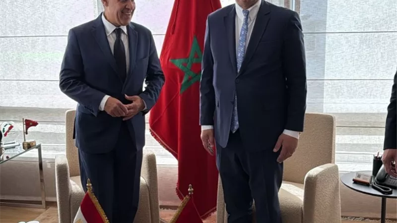 وزير الخارجية يلتقي وزير الصناعة والتجارة المغربي في الرباط