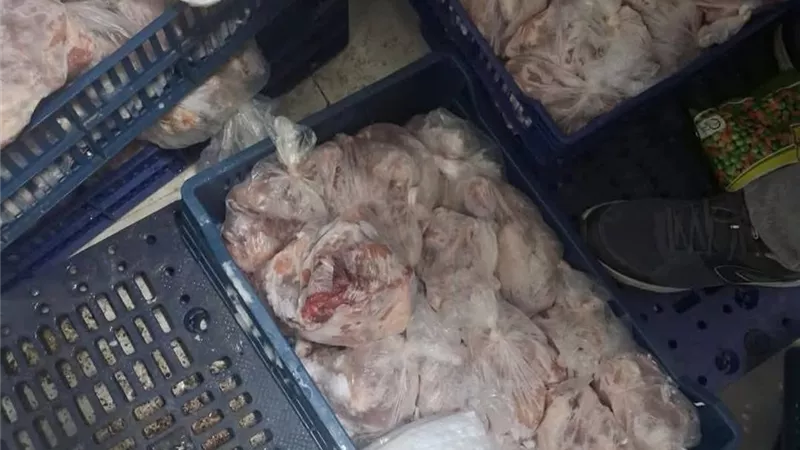 دواجن غير صالحة للإستهلاك الآدمي بأسواق دمياط