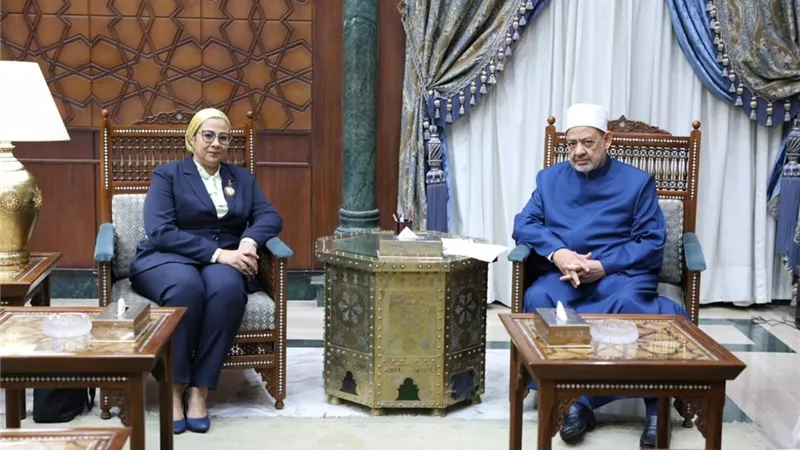 المستشارة أمل عمار والإمام الأكبر الدكتور أحمد الطيب شيخ الأزهر يبحثان سبل التعاون