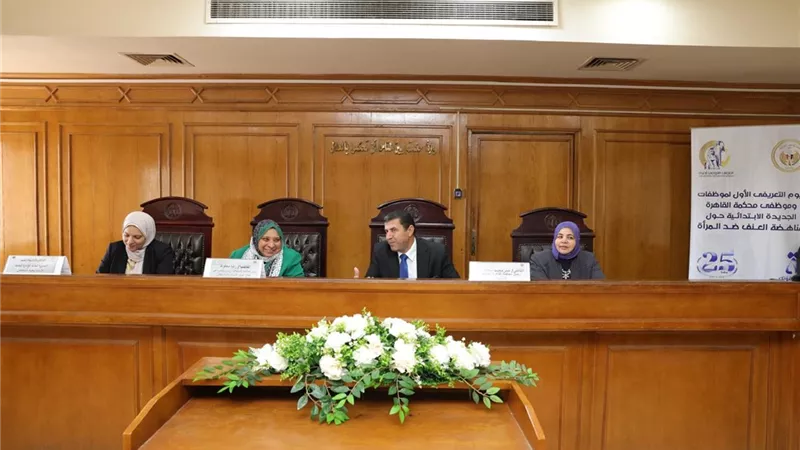 تشريعية القومي للمرأة تنظم يومًا تعريفيًا حول مناهضة العنف ضد النساء