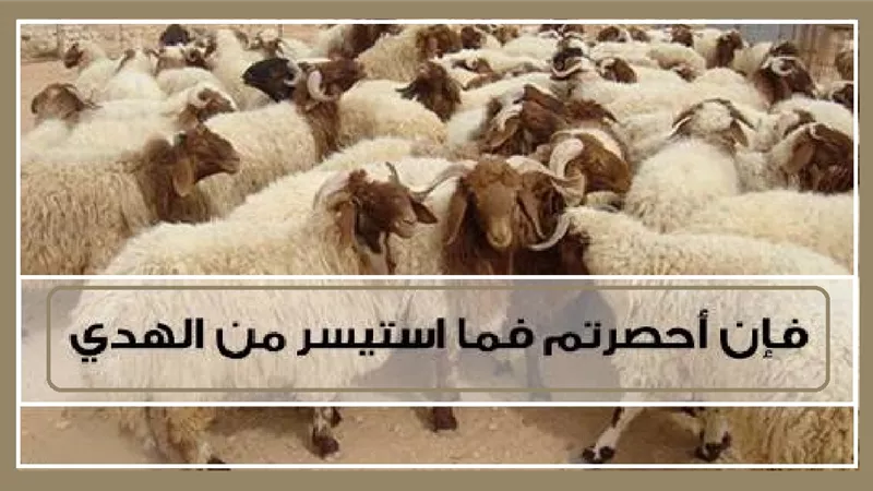 ما حكم أكل الحاج من الهدي؟ دار الإفتاء توضح