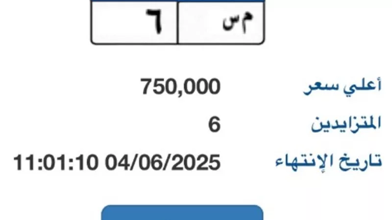 بوابة مرور مصر الإلكترونية تتطرح لوحة مميزة سعرها 750 ألف جنية