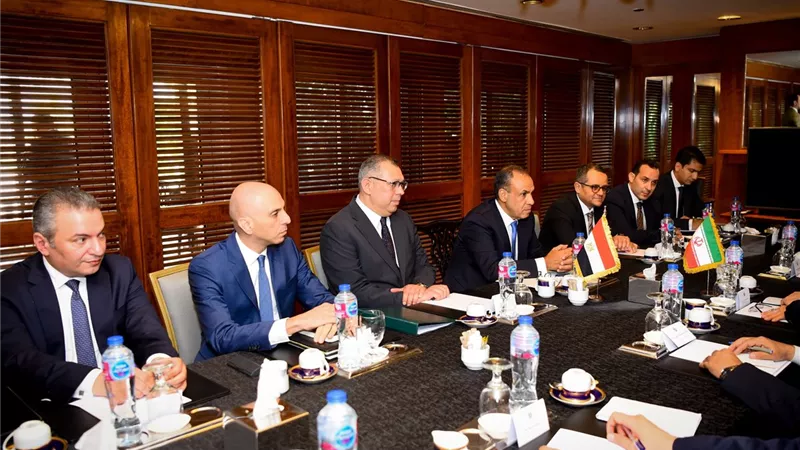 وزير الخارجية يؤكد على ضرورة حماية حرية الملاحة بالبحر الأحمر