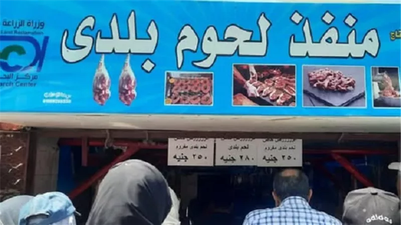 إقبال كثيف على منافذ الزراعة لشراء لحوم العيد بأسعار مخفضة