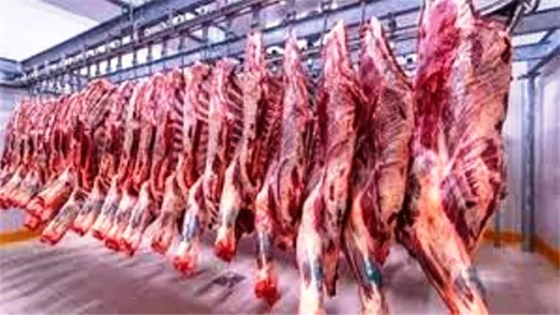 أسعار اللحوم في المجمعات الاستهلاكية لشهر يونيو 2025