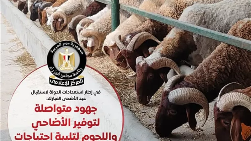 مجلس الوزراء: تكثيف جهود توفير الأضاحي واللحوم بأسعار مناسبة للعيد