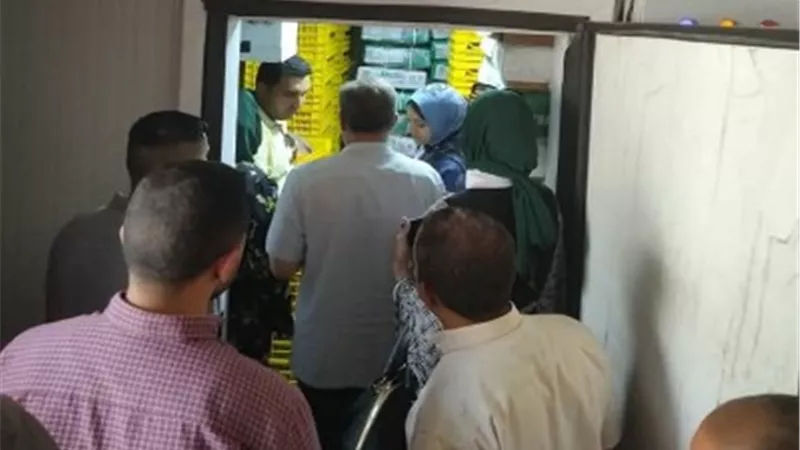 ضبط 10 طن دواجن مجمدة ومواد غذائية مجهولة المصدر بالقليوبية