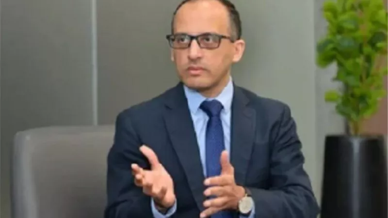 الحكومة: الدولة تحتاج إلى مليون طن من اللحوم سنويًا