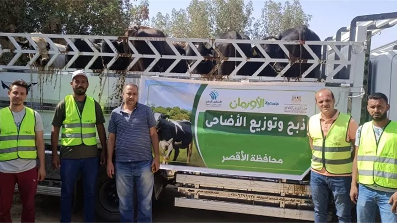 توزيع لحوم على 39 قرية بالأقصر خلال عيد الأضحى