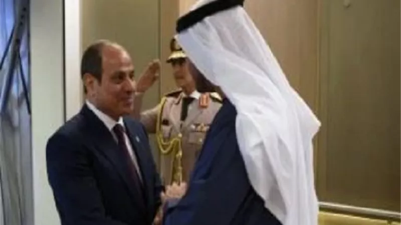 رئيس الإمارات يشيد بالجهود المصرية المتواصلة منذ بدء الأزمة فى غزة