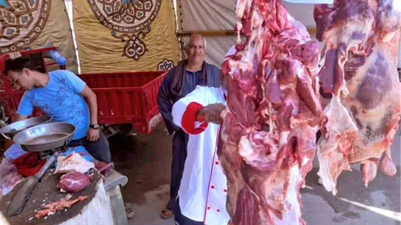 استمرار سوق اليوم الواحد بمدينة أخميم بسوهاج حتى الجمعة المقبل