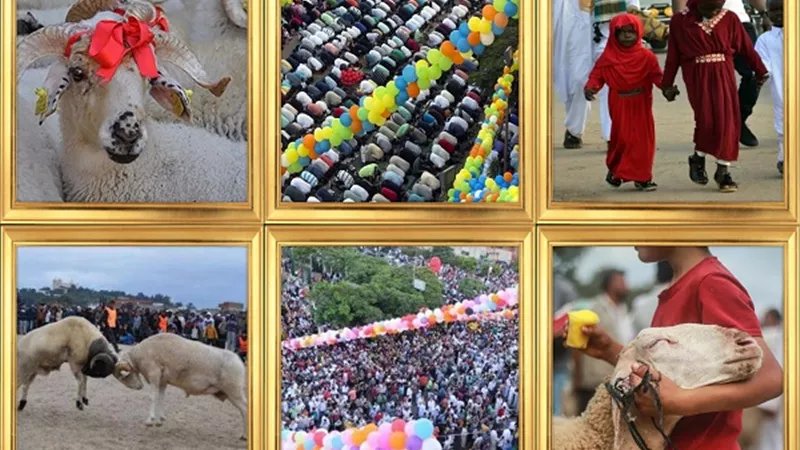 طقوس الاحتفال بعيد الأضحى حول العالم!