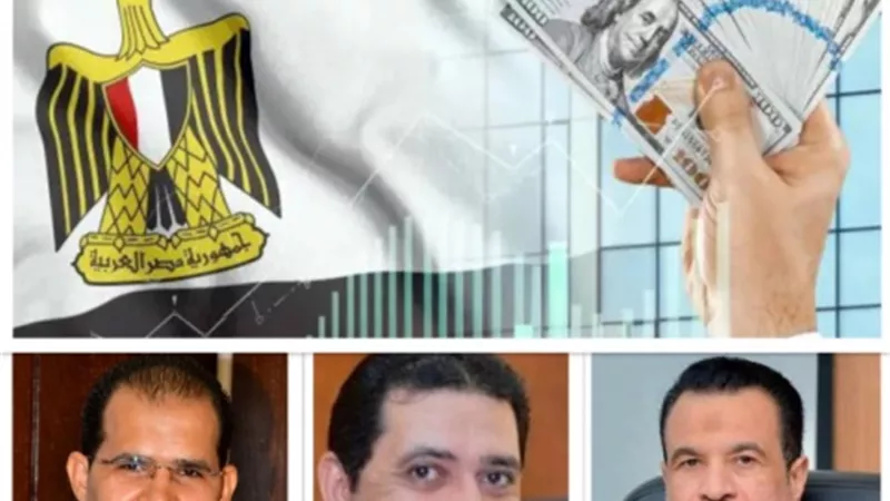 الحكومة تتوسع فى برنامج الطروحات