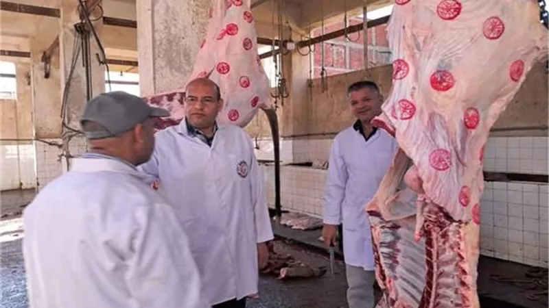 الخدمات البيطرية: ذبح مجاني وآمن للأضاحي وفق الشروط الشرعية والصحية