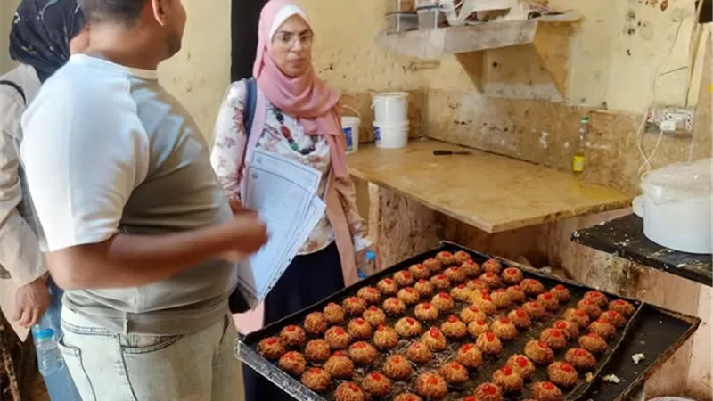 تحرير ٩٥ محضرا للمنشآت الغذائية بالإسماعيلية في العيد