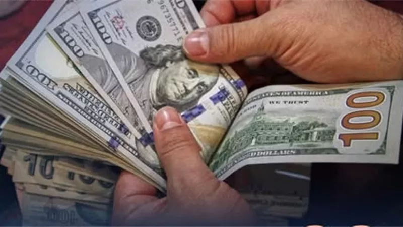 82.7 %.. ارتفاعا في تحويلات المصريين العاملين بالخارج (إنفوجراف)