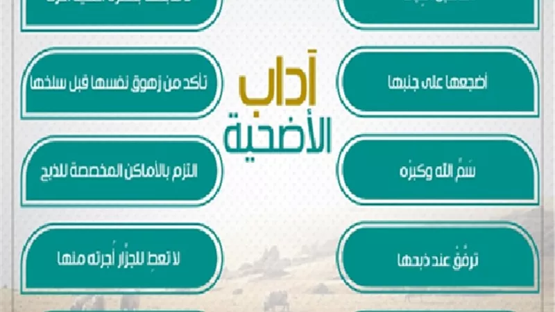 بسم الله والله أكبر .. 13 قاعدة شرعية للتعامل مع الأضحية
