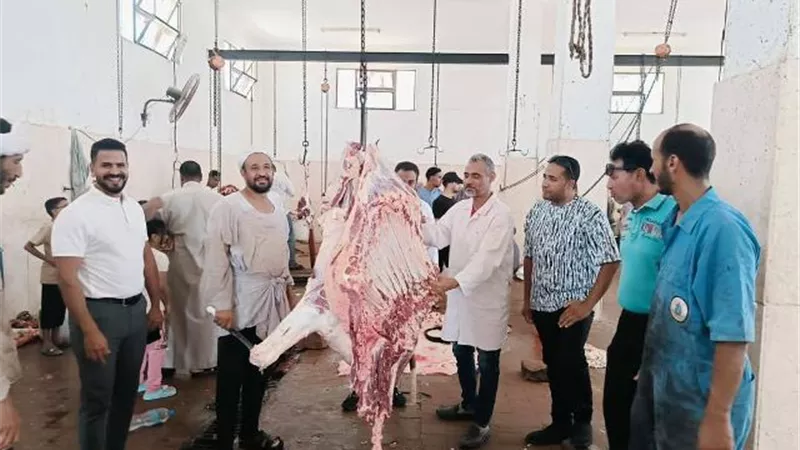 متابعة الذبح بمجزر القصير والتأكيد على توافر الخدمات للمواطنين