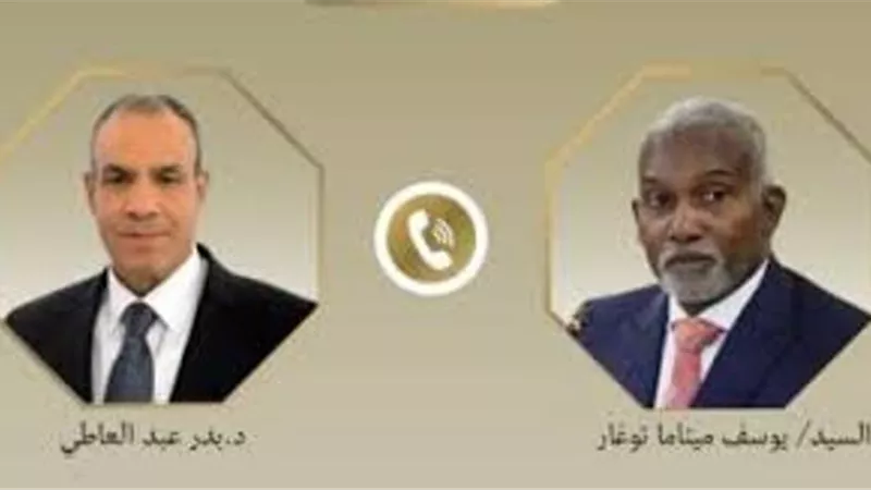 وزير الخارجية يؤكد لنظيره النيجيرى استعداد مصر لتقديم الدعم فى مواجهة الإرهاب