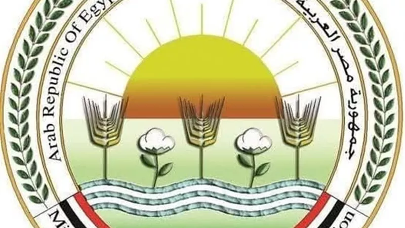 وزير الزراعة يتابع أعمال لجان المرور على شوادر وأماكن بيع الأضاحي