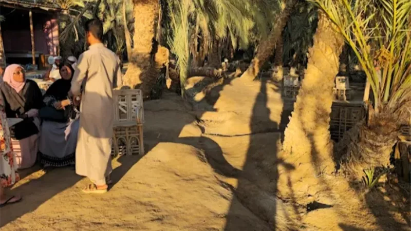 جزيرة فطناس بسيوة مقصد سياحي للاجانب لمشاهدة غروب الشمس