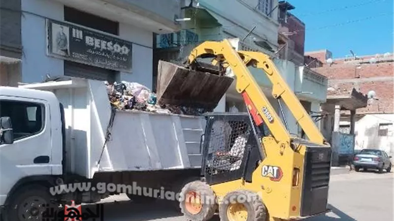 حملات للإرتقاء بمستوى النظافة ومكافحة الحشرات بمدن دمياط