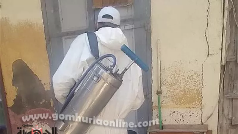 حملات مكثفة لمكافحة نواقل الأمراض بدمياط