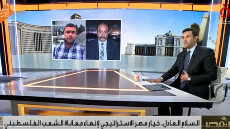 النمورة: التحركات المصرية تجاه القضية الفلسطينية نموذج للدبلوماسية الفاعلة