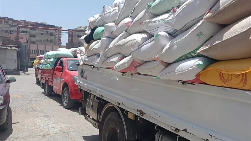 استلام اكتر من ٢٢٣ ألف طن قمح بكفرالشيخ