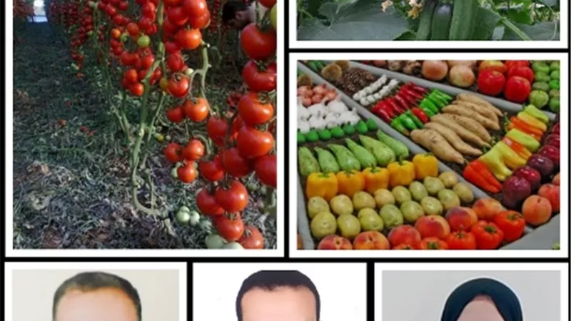 الزراعة الحيوية.. بوابة مصر للأسواق العالمية