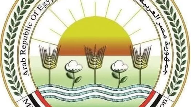 5838 أضحية.. البحر الأحمر تتصدر قائمة المحافظات الأكثر ذبحا للأضاحي