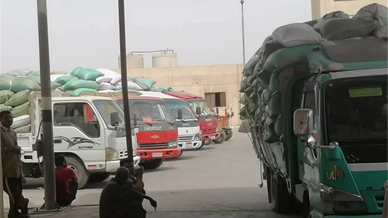استمرار أعمال توريد القمح بتوريد 208 آلاف طن قمح بالمنيا