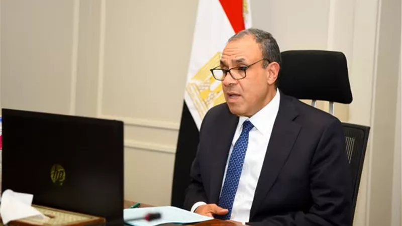 وزير الخارجية يشارك في اللقاء الافتراضى مع الجالية المصرية في بريطانيا