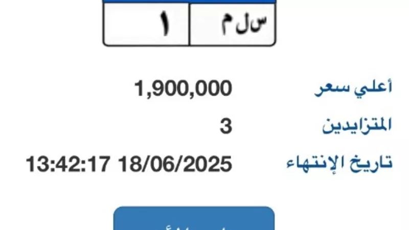 بـ مليون و900 ألف.. بوابة مرور مصر الإلكترونية تطرح لوحة مميزة