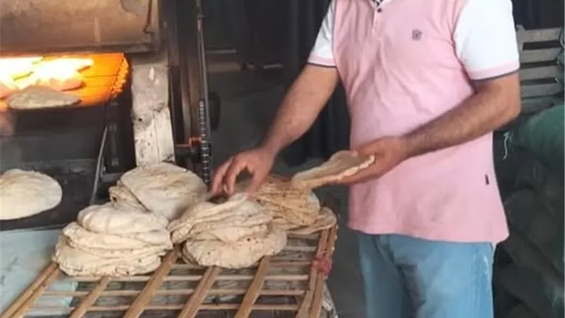 ضبط 1652 أسطوانة غاز قبل بيعها فى السوق السوداء بمركز بدر