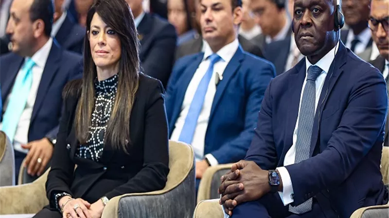 التمويل الدولية تحشد تمويلات للقطاع الخاص المصري بـ4مليارات دولار