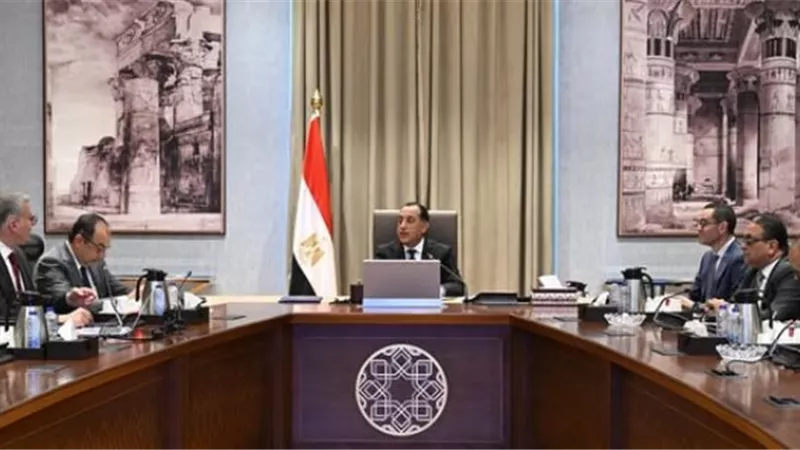 مدبولي يتابع تنفيذ الطروحات الحكومية في البترول والأعمال العام