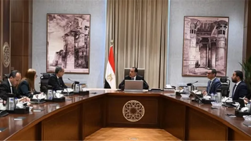 خطة حكومية لتوسيع الألياف الضوئية بالتعاون مع القطاع الخاص