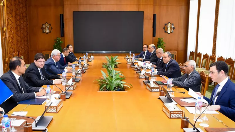 وزير الخارجية والهجرة يستقبل وزير التعليم العالى والبحث العلمى