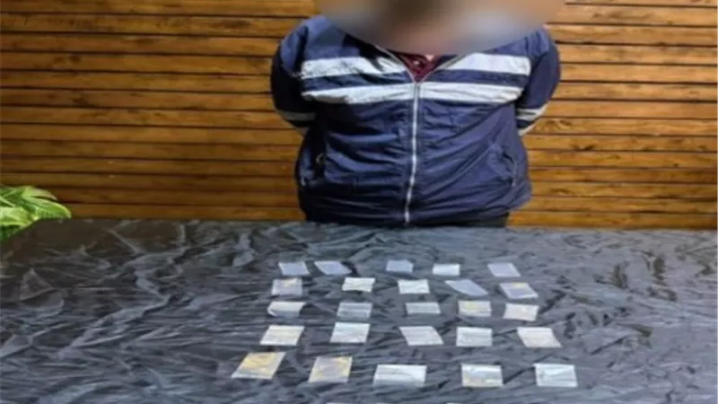 سقوط ديلر مخدرات في شبرا الخيمة بقبضة مباحث القليوبية