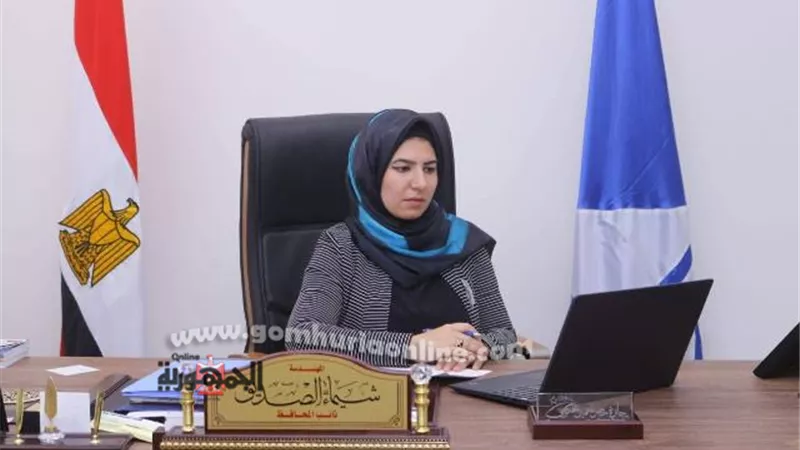 نائب محافظ دمياط تشارك في الندوة الإلكترونية لليونسكو