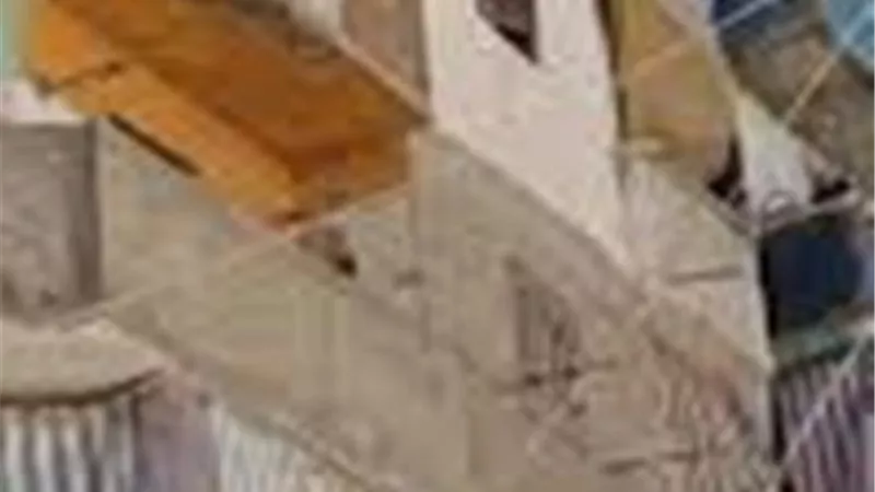 الايجار المتأخر ورأس مال مشروع صغير للارملة الصابرة